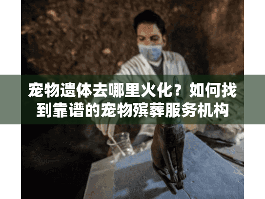 宠物遗体去哪里火化？如何找到靠谱的宠物殡葬服务机构