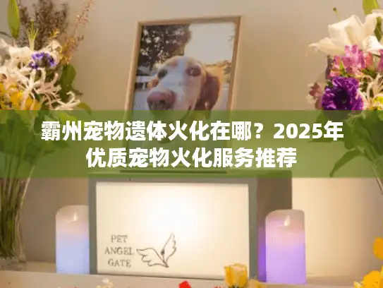 霸州宠物遗体火化在哪?2025年优质宠物火化服务推荐 霸州宠物遗体火化在哪?2025年优质宠物火化服务推荐