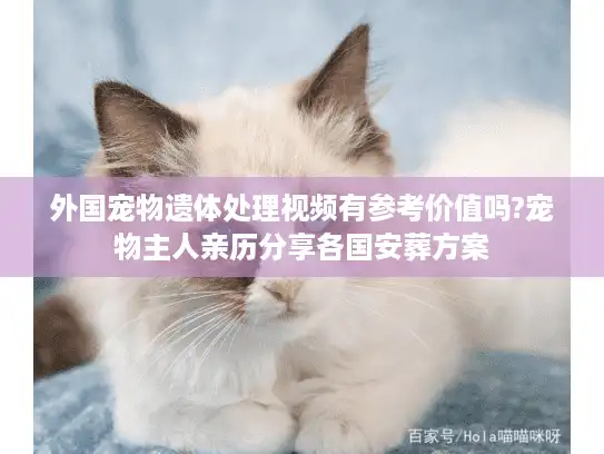 外国宠物遗体处理视频有参考价值吗?宠物主人亲历分享各国安葬方案