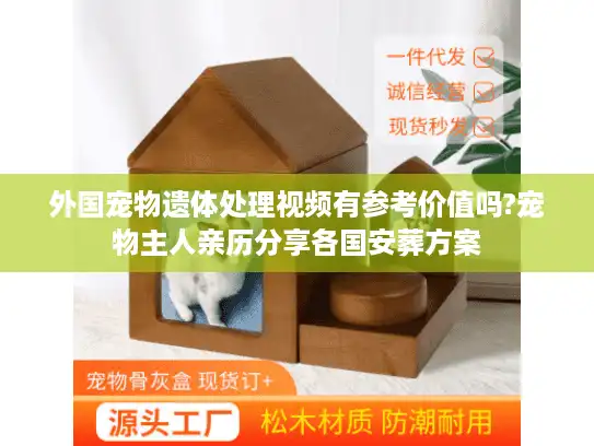 外国宠物遗体处理视频有参考价值吗?宠物主人亲历分享各国安葬方案