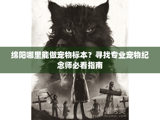 绵阳哪里能做宠物标本？寻找专业宠物纪念师必看指南