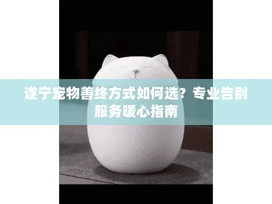 遂宁宠物善终方式如何选？专业告别服务暖心指南