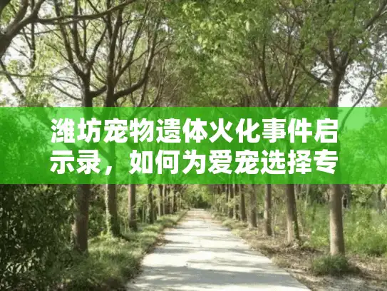 潍坊宠物遗体火化事件启示录，如何为爱宠选择专业告别服务？