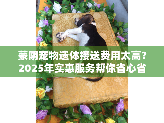 蒙阴宠物遗体接送费用太高？2025年实惠服务帮你省心省钱
