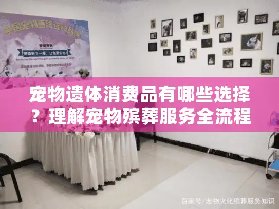 宠物遗体消费品有哪些选择？理解宠物殡葬服务全流程指南