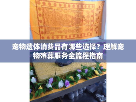 宠物遗体消费品有哪些选择？理解宠物殡葬服务全流程指南