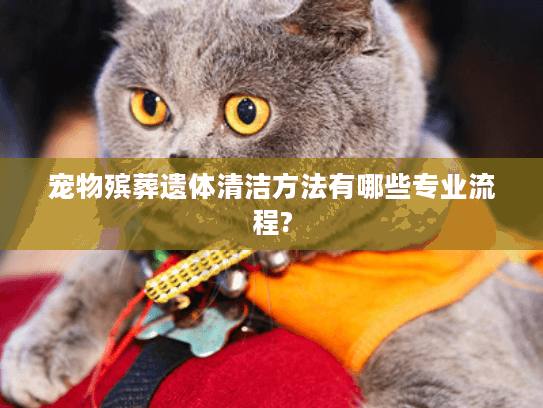 宠物殡葬遗体清洁方法有哪些专业流程?