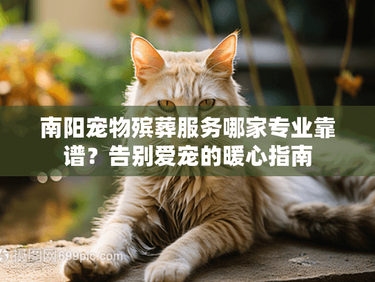 南阳宠物殡葬服务哪家专业靠谱?告别爱宠的暖心指南 南阳宠物殡葬服务哪家专业靠谱?告别爱宠的暖心指南