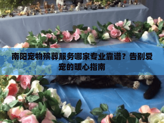 南阳宠物殡葬服务哪家专业靠谱?告别爱宠的暖心指南 南阳宠物殡葬服务哪家专业靠谱?告别爱宠的暖心指南