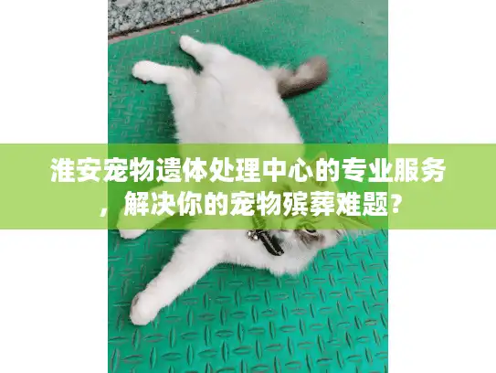 淮安宠物遗体处理中心的专业服务，解决你的宠物殡葬难题？