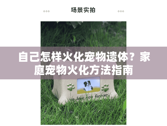 自己怎样火化宠物遗体?家庭宠物火化方法指南 自己怎样火化宠物遗体?家庭宠物火化方法指南