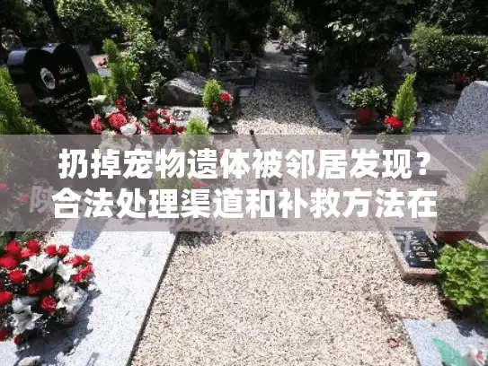 扔掉宠物遗体被邻居发现？合法处理渠道和补救方法在这里