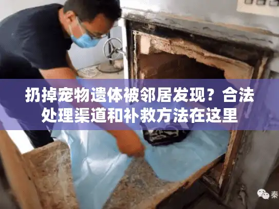 扔掉宠物遗体被邻居发现？合法处理渠道和补救方法在这里