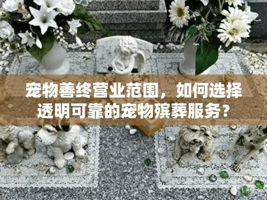 宠物善终营业范围，如何选择透明可靠的宠物殡葬服务？