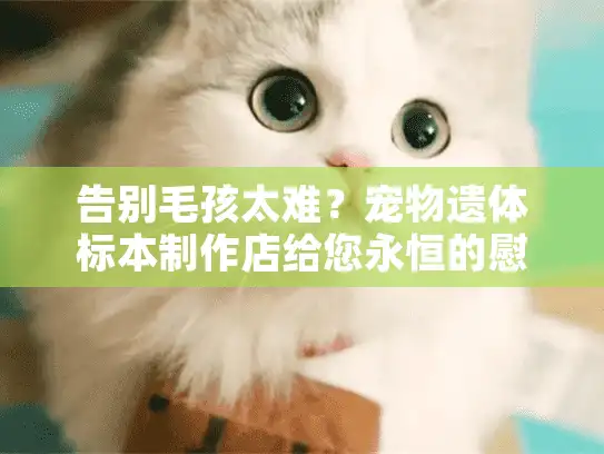 告别毛孩太难?宠物遗体标本制作店给您永恒的慰藉 告别毛孩太难?宠物遗体标本制作店给您永恒的慰藉