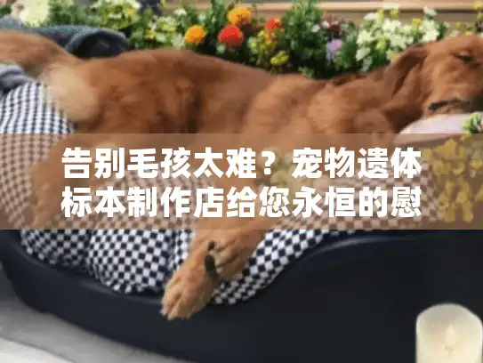 告别毛孩太难?宠物遗体标本制作店给您永恒的慰藉 告别毛孩太难?宠物遗体标本制作店给您永恒的慰藉