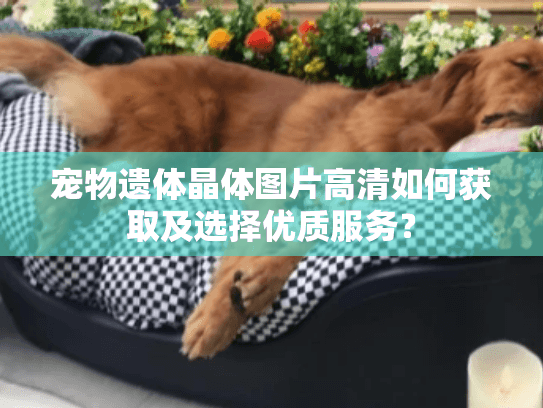 宠物遗体晶体图片高清如何获取及选择优质服务？