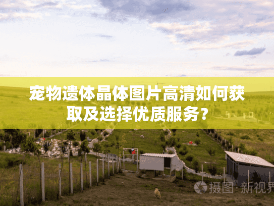 宠物遗体晶体图片高清如何获取及选择优质服务？