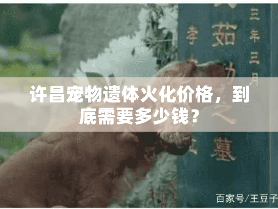 许昌宠物遗体火化价格，到底需要多少钱？