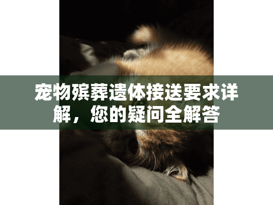 宠物殡葬遗体接送要求详解，您的疑问全解答