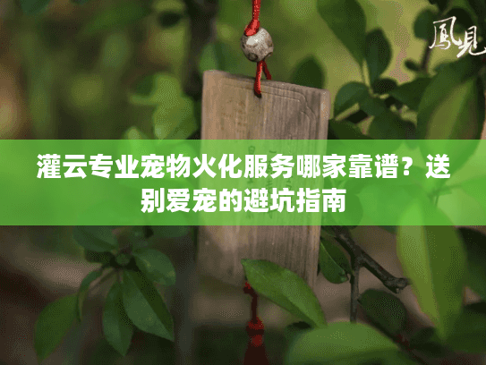 灌云专业宠物火化服务哪家靠谱？送别爱宠的避坑指南