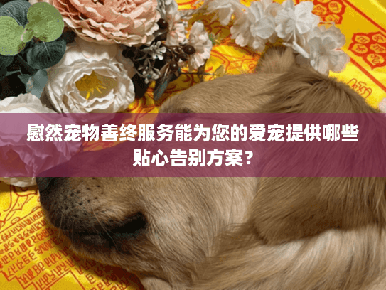 慰然宠物善终服务能为您的爱宠提供哪些贴心告别方案？