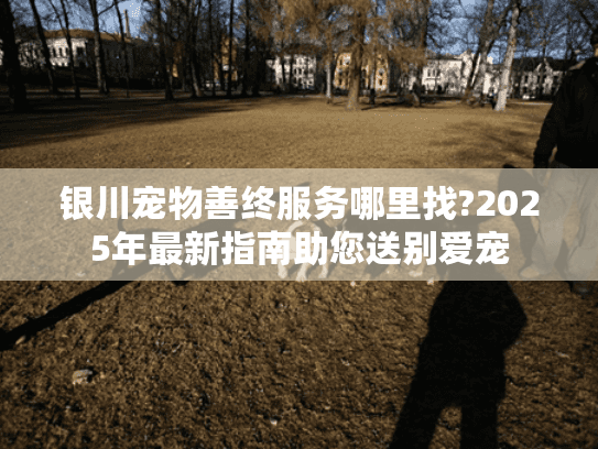 银川宠物善终服务哪里找?2025年最新指南助您送别爱宠