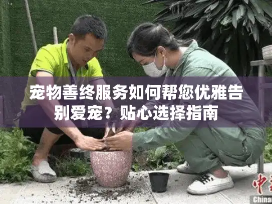 宠物善终服务如何帮您优雅告别爱宠？贴心选择指南