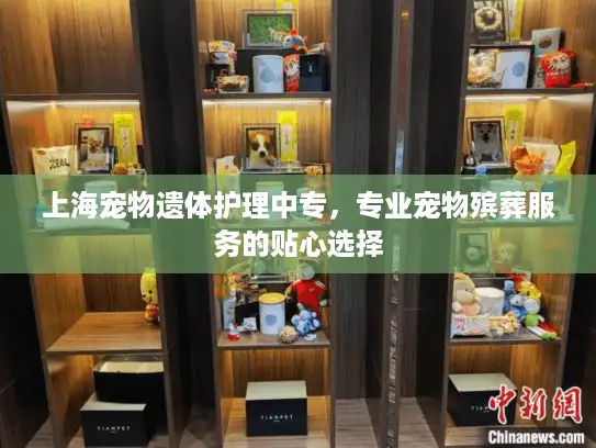 上海宠物遗体护理中专,专业宠物殡葬服务的贴心选择 上海宠物遗体护理中专,专业宠物殡葬服务的贴心选择