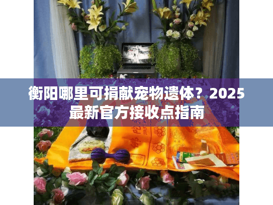 衡阳哪里可捐献宠物遗体？2025最新官方接收点指南