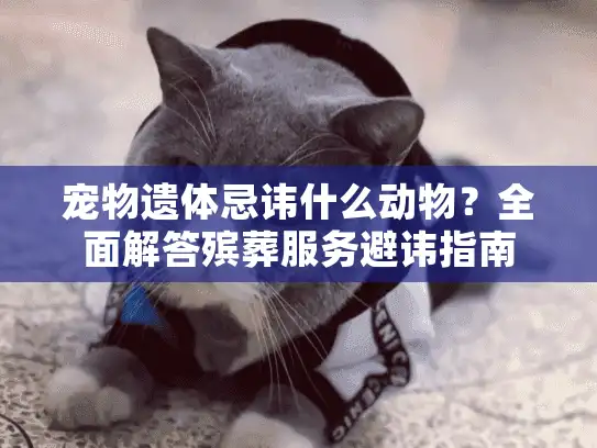 宠物遗体忌讳什么动物？全面解答殡葬服务避讳指南