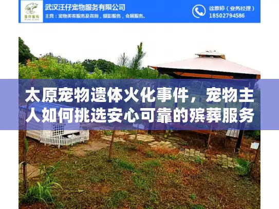 太原宠物遗体火化事件，宠物主人如何挑选安心可靠的殡葬服务？
