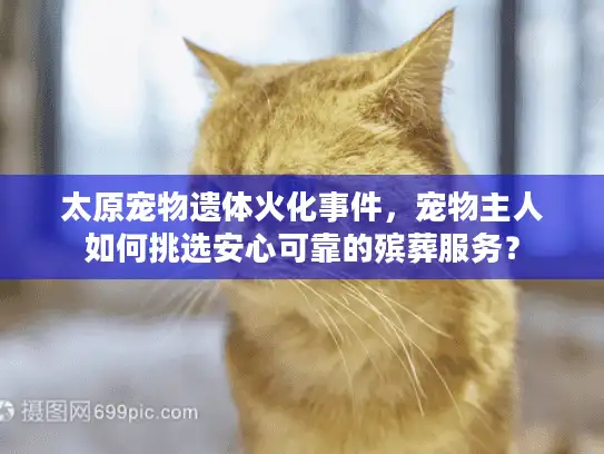 太原宠物遗体火化事件，宠物主人如何挑选安心可靠的殡葬服务？