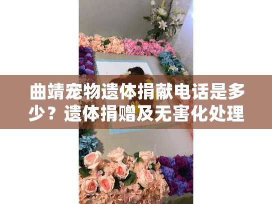 曲靖宠物遗体捐献电话是多少？遗体捐赠及无害化处理咨询指南