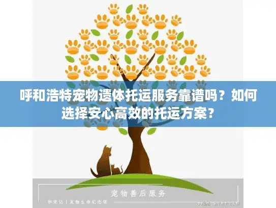 呼和浩特宠物遗体托运服务靠谱吗？如何选择安心高效的托运方案？