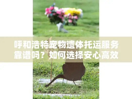 呼和浩特宠物遗体托运服务靠谱吗？如何选择安心高效的托运方案？