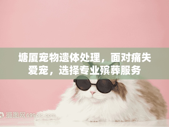 塘厦宠物遗体处理，面对痛失爱宠，选择专业殡葬服务