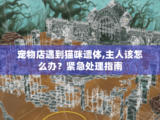 宠物店遇到猫咪遗体,主人该怎么办？紧急处理指南