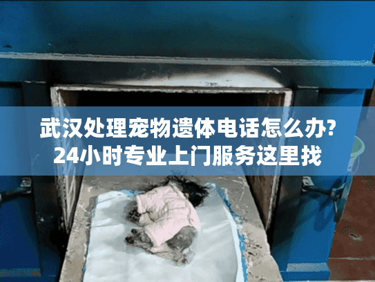 武汉处理宠物遗体电话怎么办?24小时专业上门服务这里找 武汉处理宠物遗体电话怎么办?24小时专业上门服务这里找