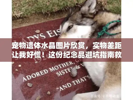 宠物遗体水晶图片欣赏，实物差距让我好慌！这份纪念品避坑指南救了我