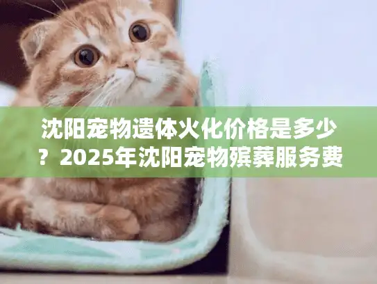 沈阳宠物遗体火化价格是多少？2025年沈阳宠物殡葬服务费用全解析