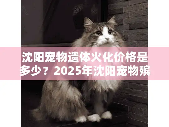 沈阳宠物遗体火化价格是多少？2025年沈阳宠物殡葬服务费用全解析