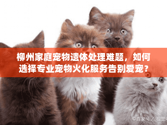 柳州家庭宠物遗体处理难题，如何选择专业宠物火化服务告别爱宠？