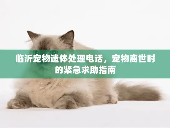 临沂宠物遗体处理电话，宠物离世时的紧急求助指南