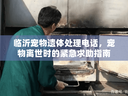 临沂宠物遗体处理电话，宠物离世时的紧急求助指南