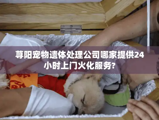 荨阳宠物遗体处理公司哪家提供24小时上门火化服务?
