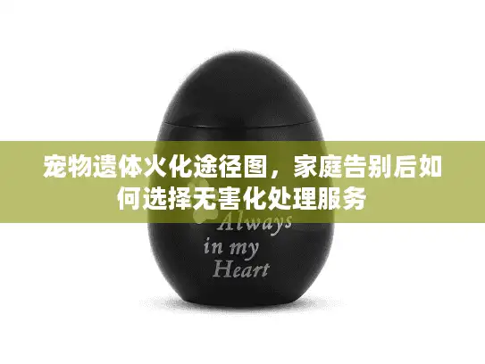 宠物遗体火化途径图，家庭告别后如何选择无害化处理服务
