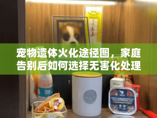 宠物遗体火化途径图，家庭告别后如何选择无害化处理服务