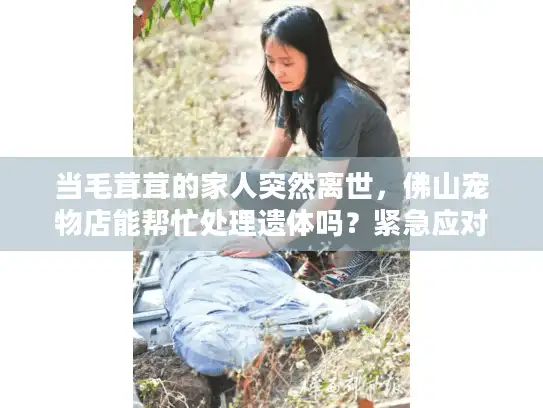当毛茸茸的家人突然离世，佛山宠物店能帮忙处理遗体吗？紧急应对指南