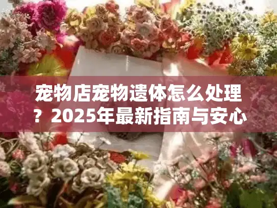 宠物店宠物遗体怎么处理？2025年最新指南与安心选择